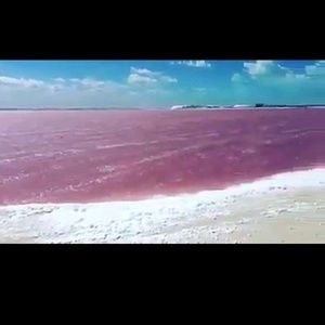 Meet your Posher, Serena